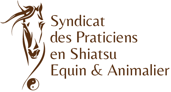 Shiatsu Equin & Animalier